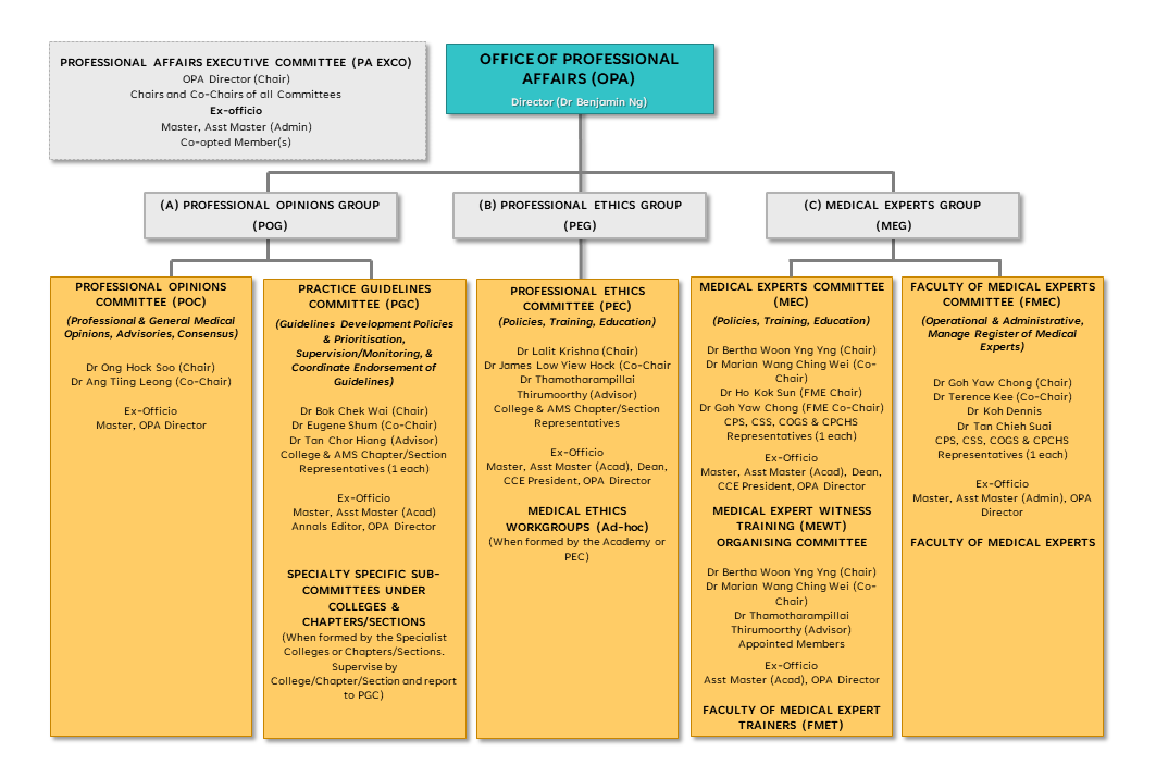 Organizational Chart of the Office of Professional Affairs (updated as of Nov FY2022)