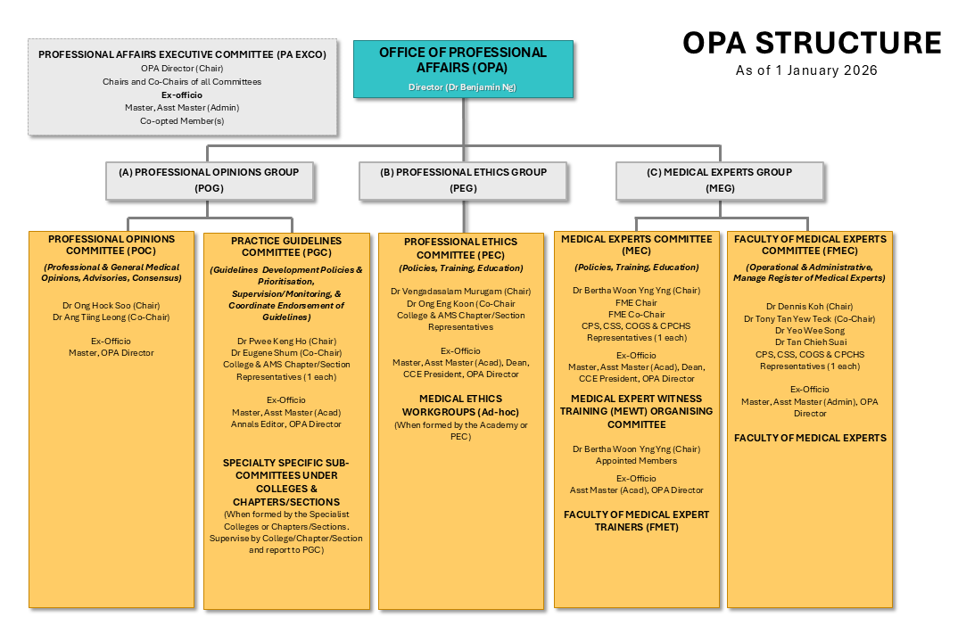 Organizational Chart of the Office of Professional Affairs (updated as of Nov FY2022)